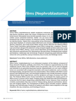 Tumor Wilms Nephroblastoma