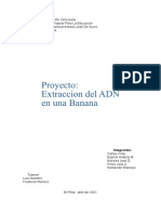 PROYECTO DE aNDERLY