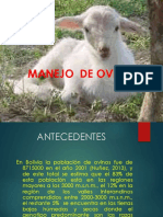 Manejo de Ovinos