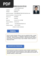 Curriculum Vitae