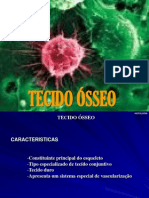 Tecido Osseo