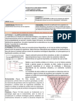 TAXONOMIA Actividad 4