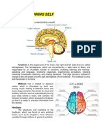 Module 1-Thinking Self: Human Brain