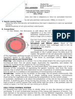 Cell Cycle: Synthesis Phase and Second Gap