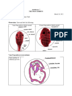 Activity No. 7 The Frog Embryo