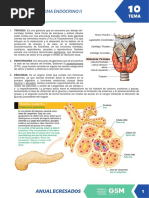 Anatomía Tema 10