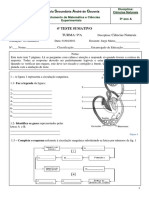 II - Teste Sumativo 1 Abril