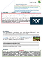 Explicamos La Formación y Composición Del Suelo