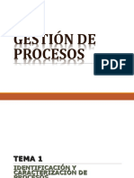 Gestion Por Procesos