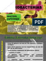 TEMA 6 Enterobacterias