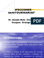 Infecciones Genitourinaria