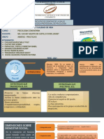 Sem 3 - PPT Psico Comunitaria - Compr