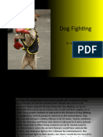 Dog Fighting: By: Jared Bettura