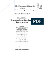 Informe Grasas e Índices de Caracterización de Grasas