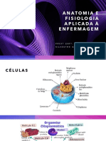 Anatomia e Fisiologia Aplicada À Enfermagem