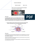 Taller de Fecundación Realizado