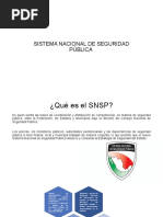 Activad 3 Seguridad Publica