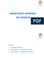 Anestesia General en Perros