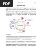 Tema #2 Ciclo Celular y Cáncer