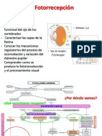 FOTORRECEPCION 20121.FINALpptx