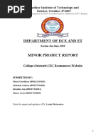 Minor Project Report