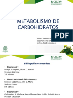 Metabolismo Carbohidratos