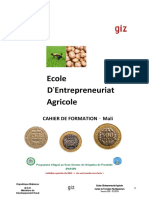 Cahier de Formation FBS Riz Et Maraichage Mali Draft 001 2016