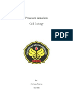 Processes in Nucleus Cell Biology: By: Furi Intan Wahyuni 4401408061