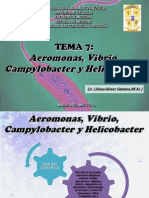 TEMA 7 Aeromonas Vibrio, Campylobacter y Helicobacter