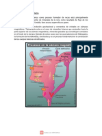 Diferenciación y Fragmentacion Mecánica