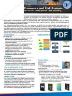 Petroleum Economics and Risk Analysis - 2022 Course Flyer