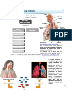 Respiratorio UFCD 6566