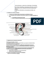 Notas Sobre Fundamentos de Auriculoterapia y Su Aplicación en Odontología y Estomatología