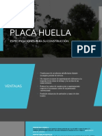 Placa Huella