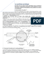 La Synthèse Protéique