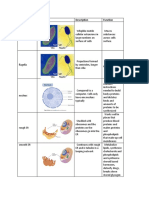 Organelle Chart