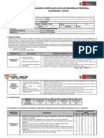 Programación Anual 3ro DPCC - I - II Unidad Iepnj 2022