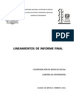 Lineamientos Informe Final 2022