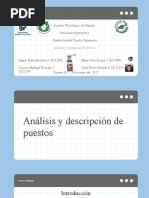 Analisis y Descripcion de Puestos