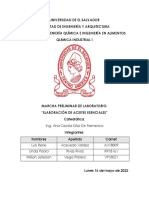 MARCHA PRELIMINAR (Corregido)