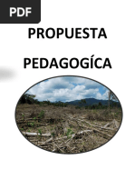 Propuesta Pedagogica Diplomado Terminandola