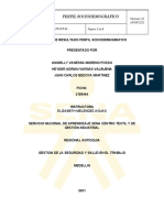 Perfil Sociodemográfico