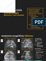 URORADIOLOGIA