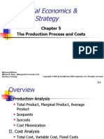 Managerial Economics & Business Strategy: The Production Process and Costs