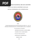 Arhuire-Vizarreta - 2018-Estudio Demográfico Del Suicidio Entre Los Años 2013 2017 Un Enfoque Antropológico en La División Medico Legal Iii Arequipa