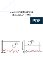 Transcranial Magnetic Stimulation (TMS) - Ask