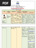 Plano 1 º Ano Junho. Thays