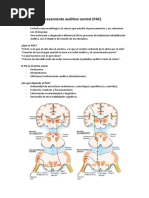 Procesamiento Auditivo Central (PAC) : Neuroaudiología