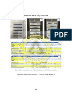 Appendices: Appendix 1. Species Identification of LAB Using API 50 CHL