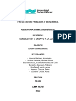 Informe N1 - Combustion y Ensayo A La Llama